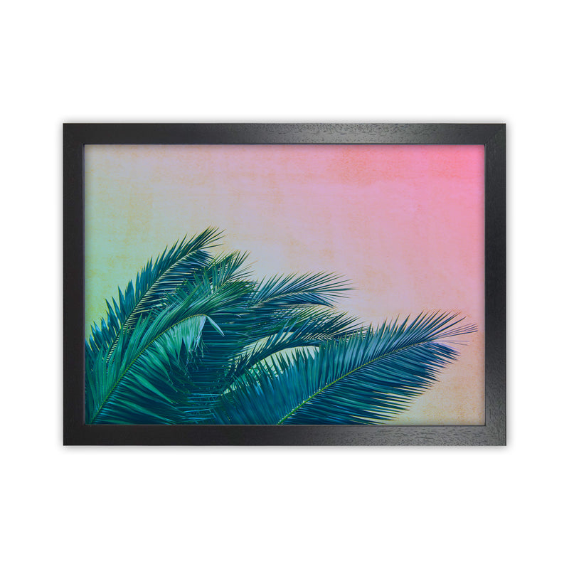 Botanical Palms Photography Print by Victoria Frost Black Grain