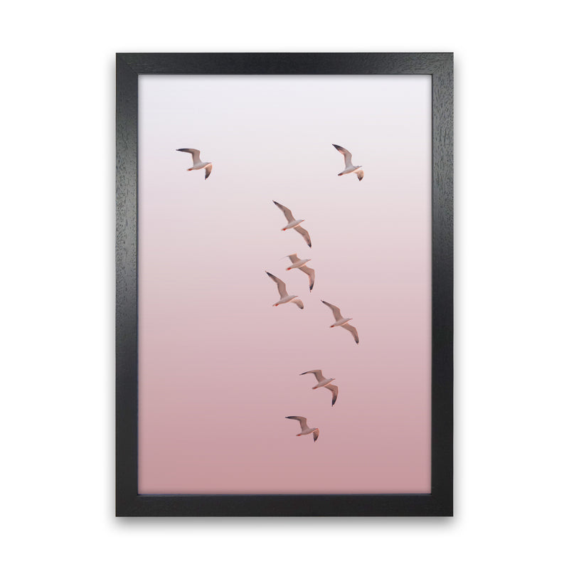 Birds in the Sky-pink Photography Print by Victoria Frost Black Grain