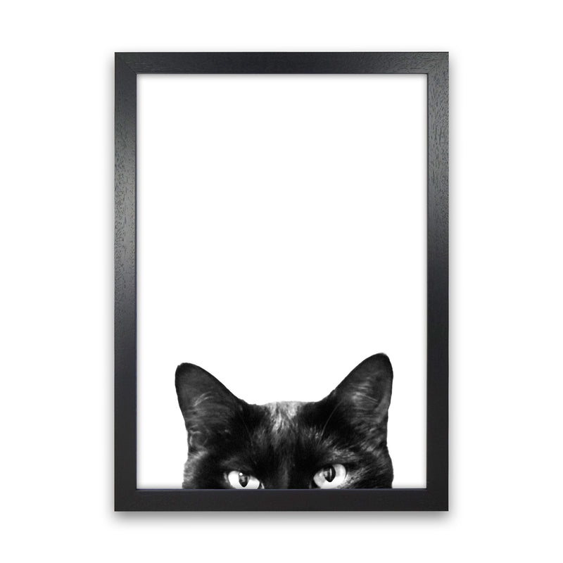 Black Cat Photography Print by Victoria Frost Black Grain