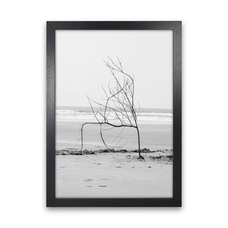 Beach Sculpture Photography Print by Victoria Frost Black Grain