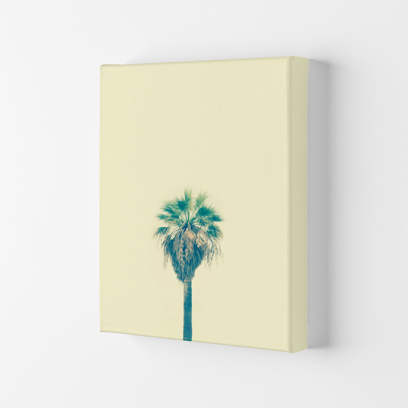 Yellow Palm Tree Photography Print by Victoria Frost Canvas