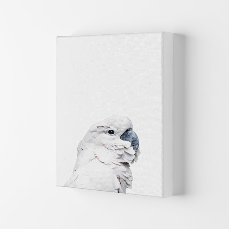 White Cockatoo Photography Print by Victoria Frost Canvas
