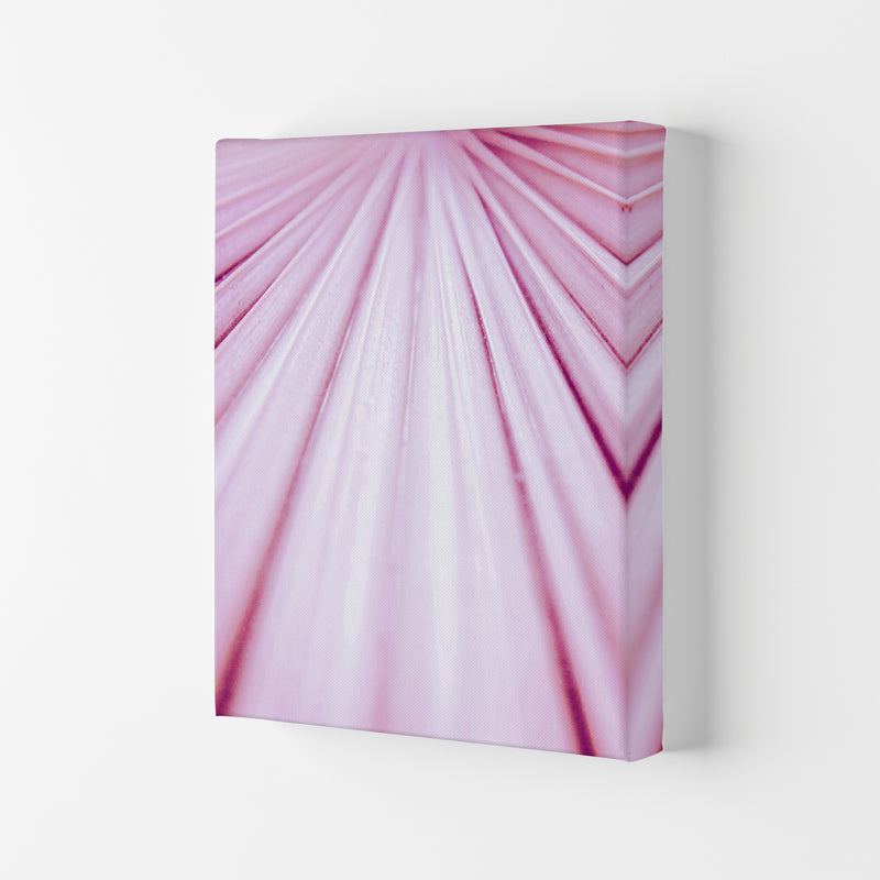 Pink Palm Leaf Photography Print by Victoria Frost Canvas