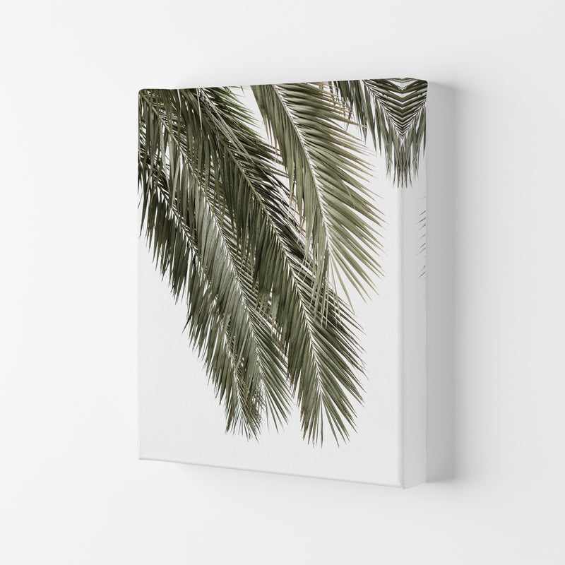 Palms Photography Print by Victoria Frost Canvas