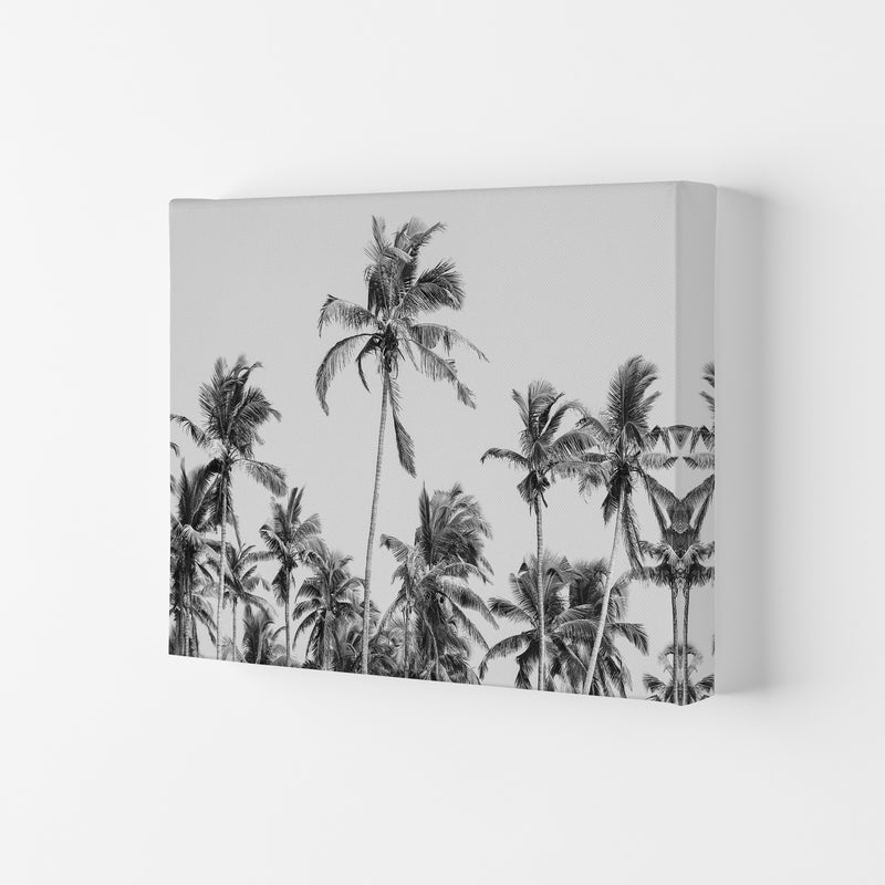 Palm Trees on the beach II Photography Print by Victoria Frost Canvas