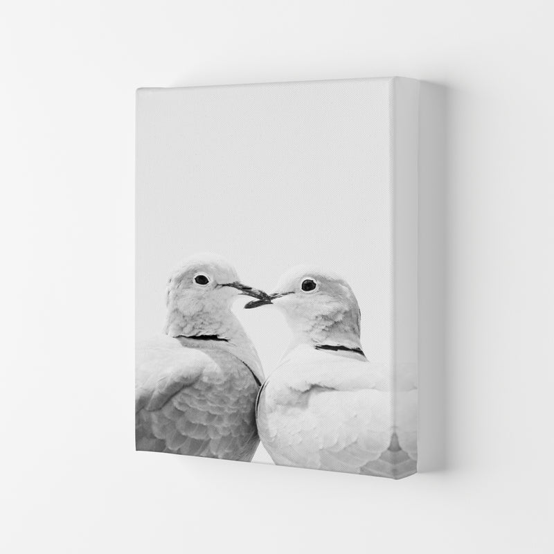 Lovers Photography Print by Victoria Frost Canvas