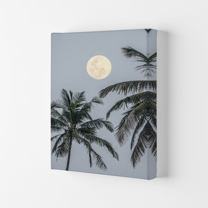 Full Moon Photography Print by Victoria Frost Canvas