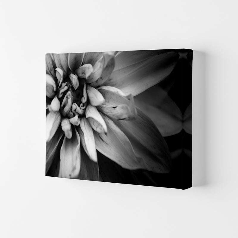 Flower Petals I  Photography Print by Victoria Frost Canvas