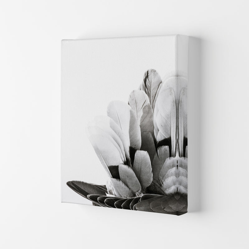 Feathers Photography Print by Victoria Frost Canvas