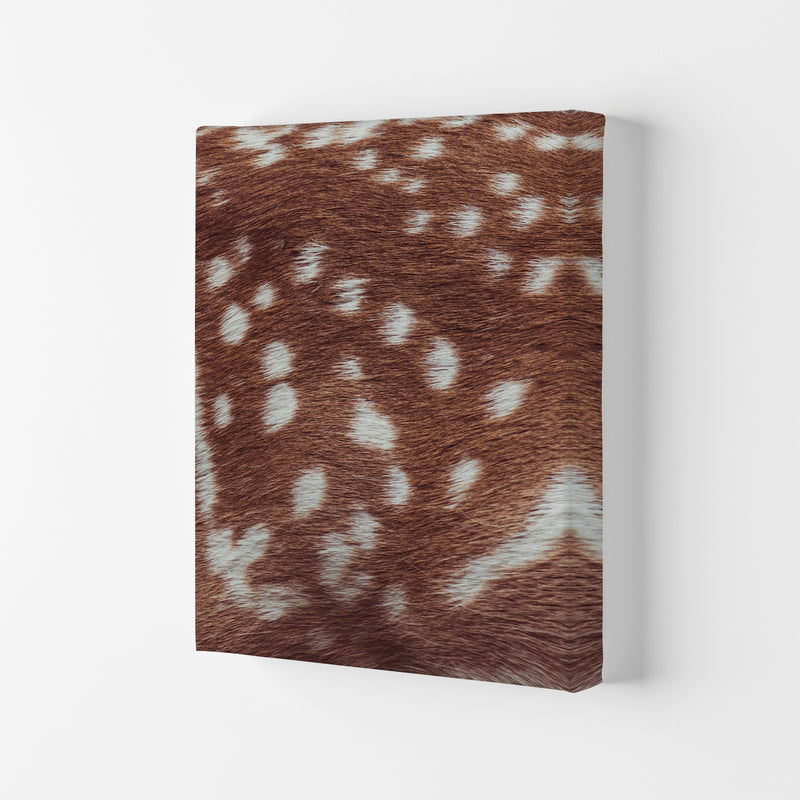 Deer skin Photography Print by Victoria Frost Canvas