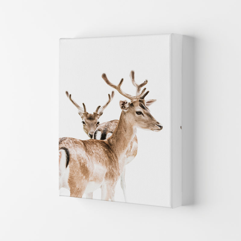 Deers II Photography Print by Victoria Frost Canvas