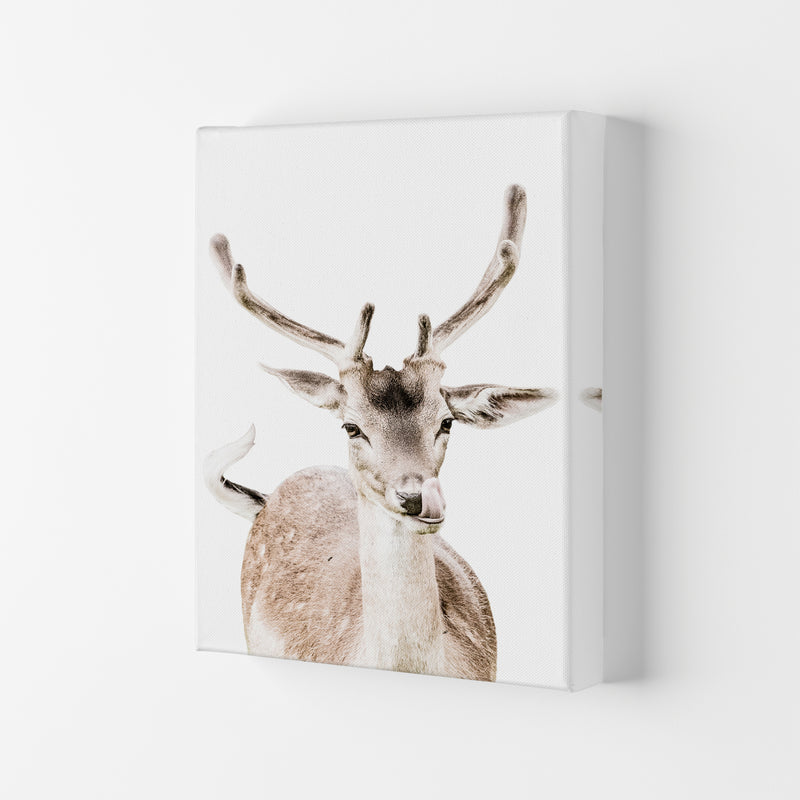 Deer I Photography Print by Victoria Frost Canvas