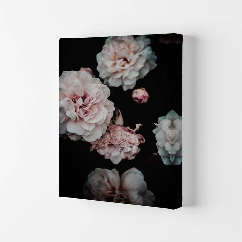 Crisp Pink Photography Print by Victoria Frost Canvas