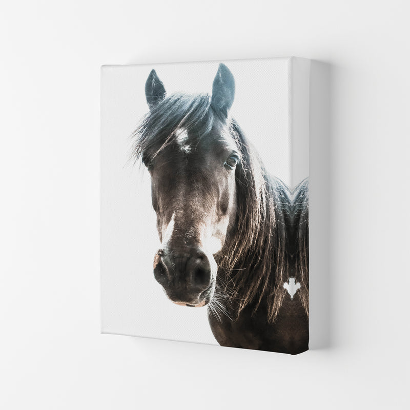 Brown Horse Photography Print by Victoria Frost Canvas