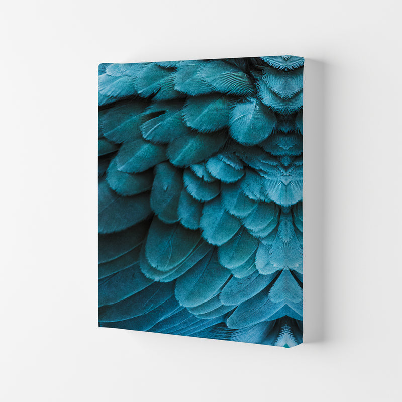 Blue Feathers Photography Print by Victoria Frost Canvas