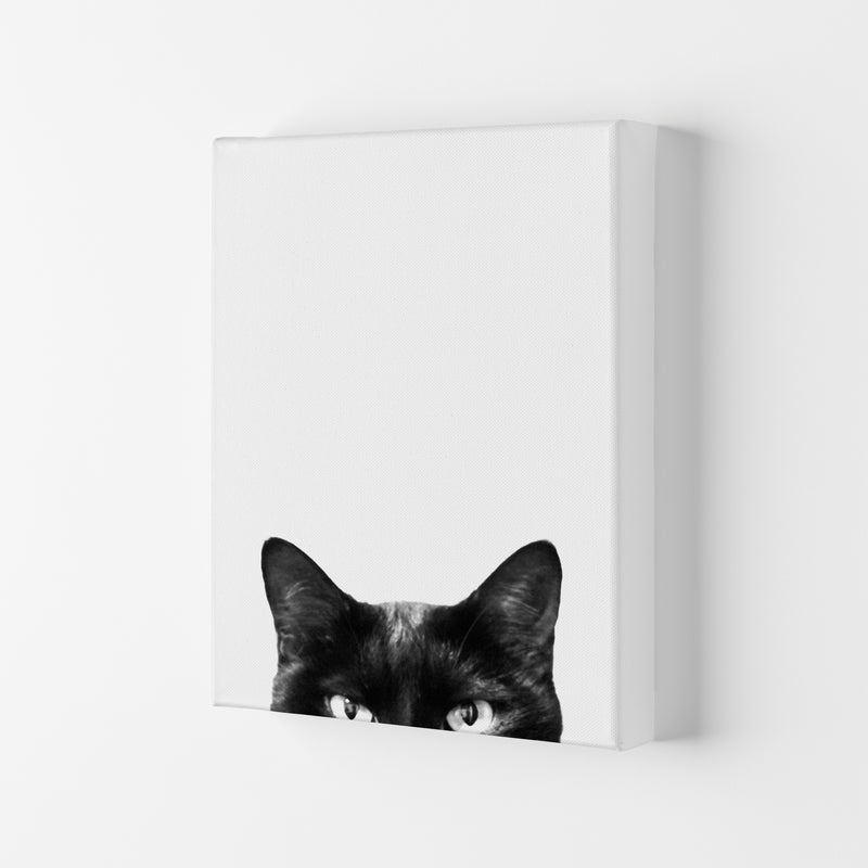 Black Cat Photography Print by Victoria Frost Canvas