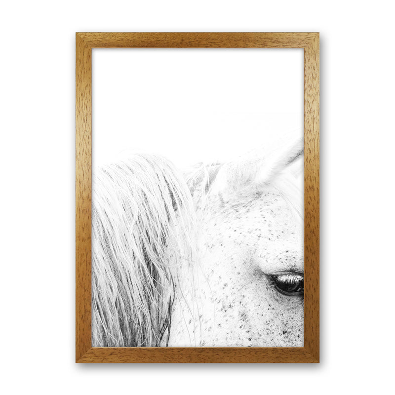 White Horse II Photography Print by Victoria Frost Oak Grain