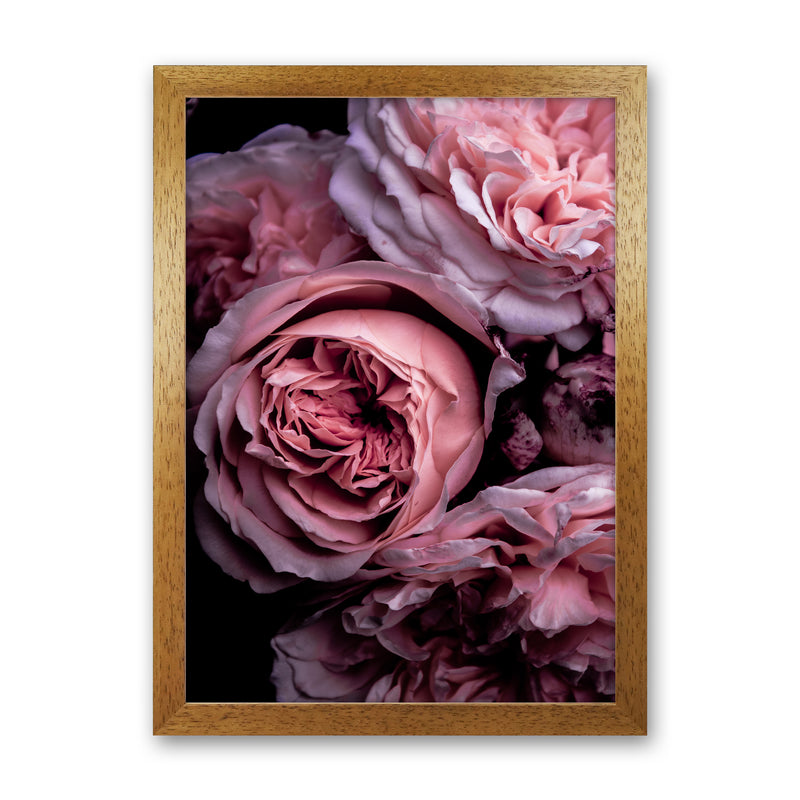 Vintage Pink Photography Print by Victoria Frost Oak Grain