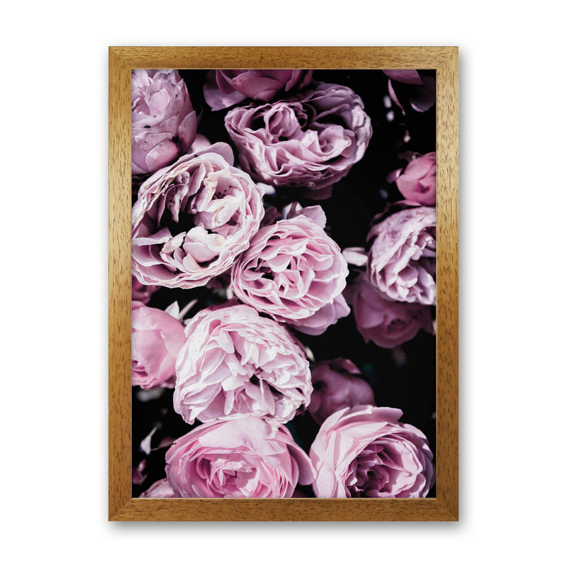 Pink Flowers II Photography Print by Victoria Frost Oak Grain