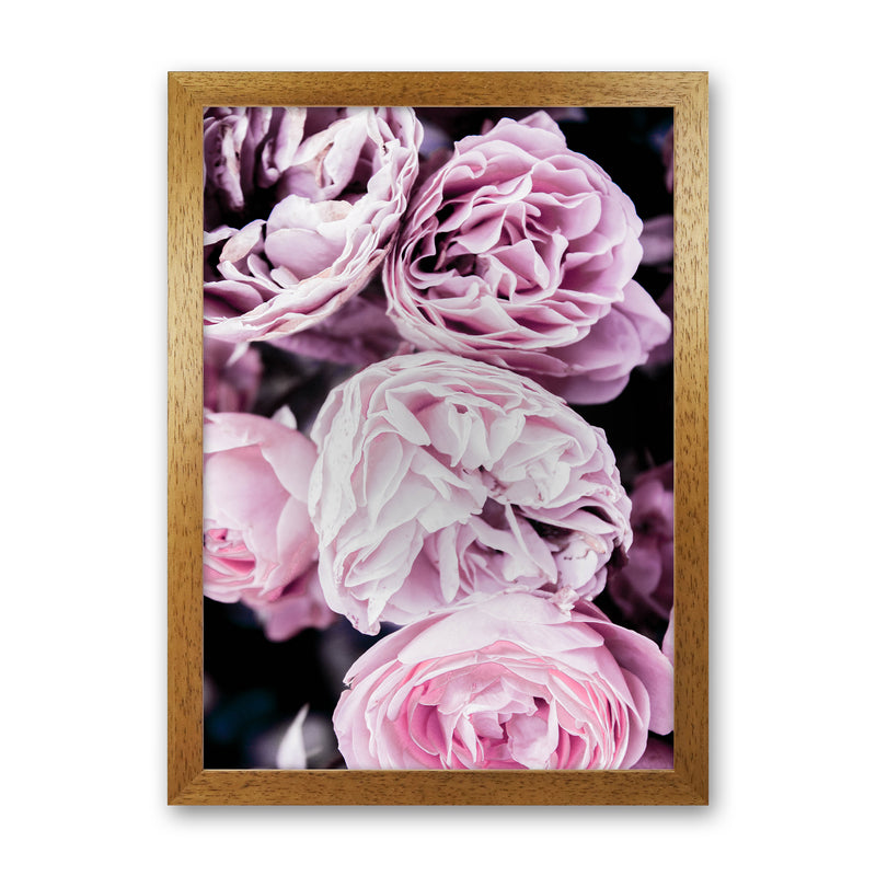 Pink Flowers I Photography Print by Victoria Frost Oak Grain
