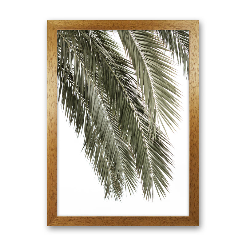 Palms Photography Print by Victoria Frost Oak Grain
