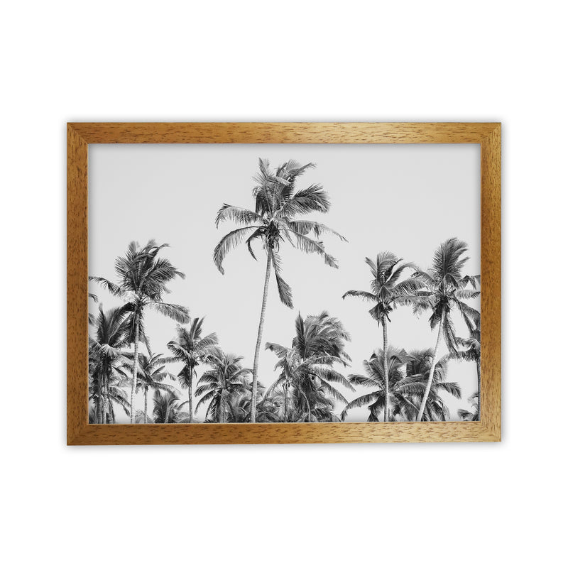 Palm Trees on the beach II Photography Print by Victoria Frost Oak Grain