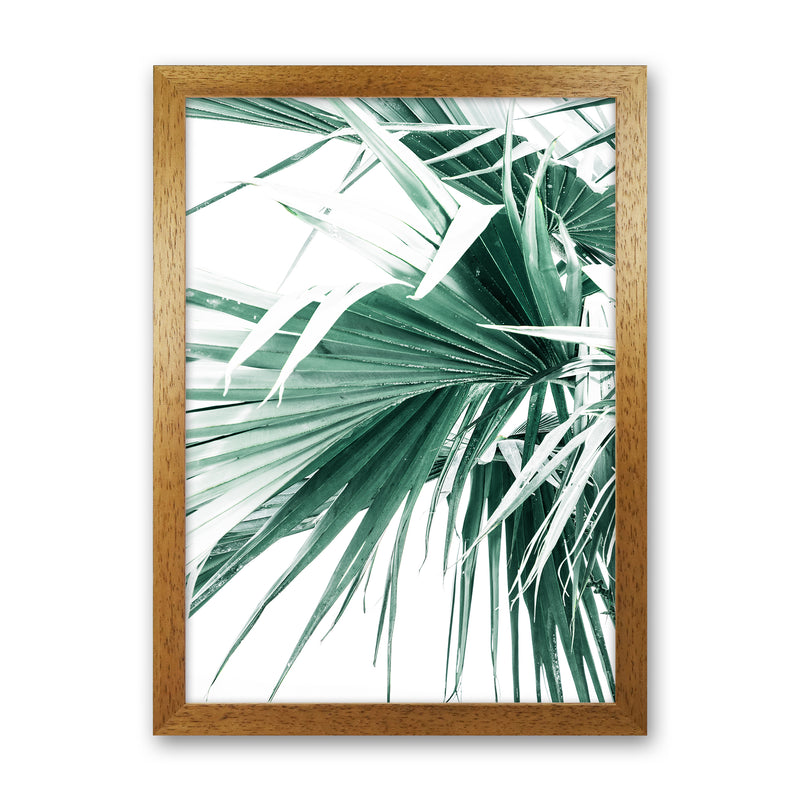 Palm Leaves Photography Print by Victoria Frost Oak Grain