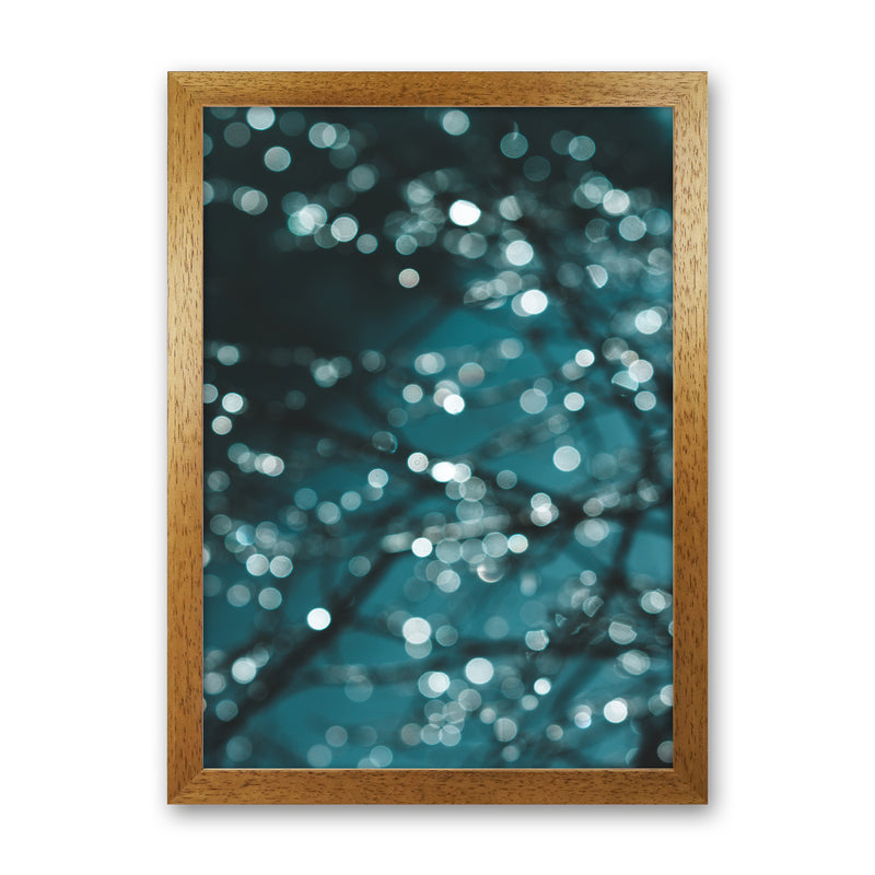 Midnight Sparkle Photography Print by Victoria Frost Oak Grain