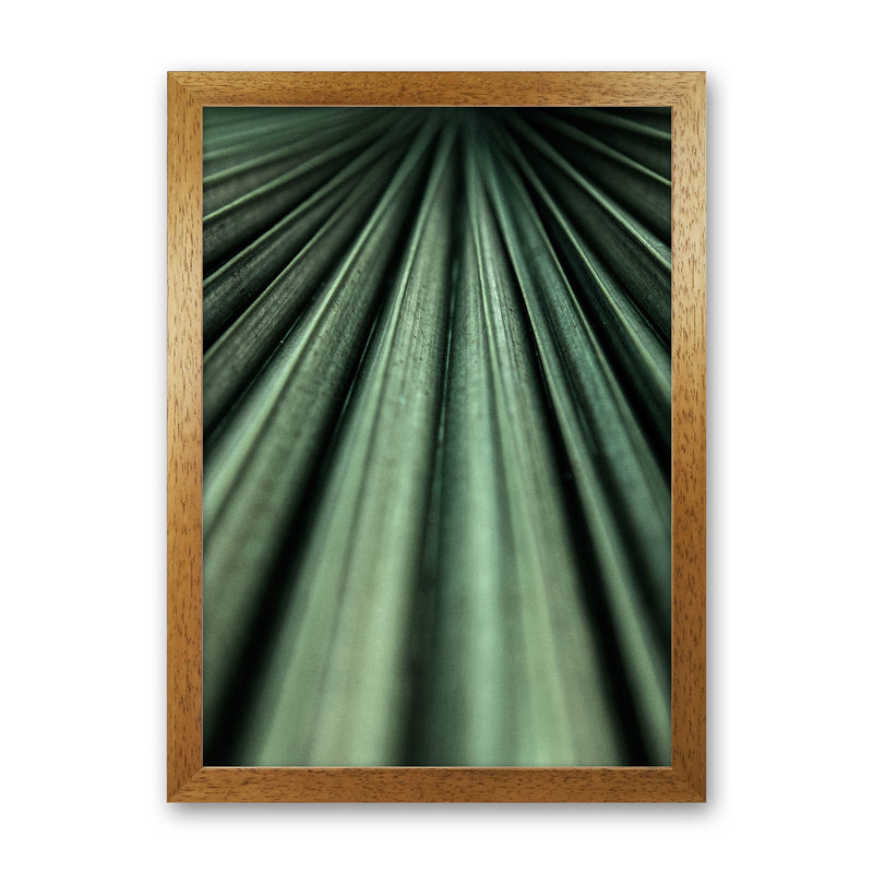 Green Palm Leaf Photography Print by Victoria Frost Oak Grain