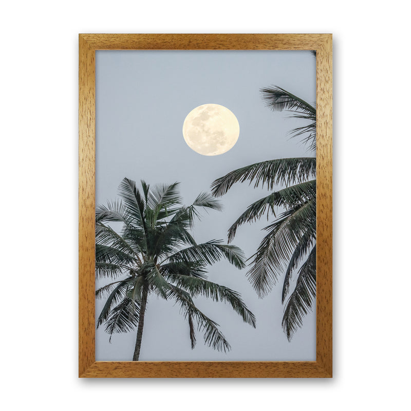 Full Moon Photography Print by Victoria Frost Oak Grain