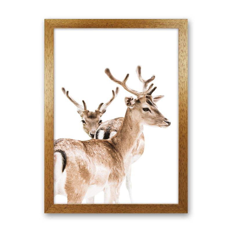Deers II Photography Print by Victoria Frost Oak Grain