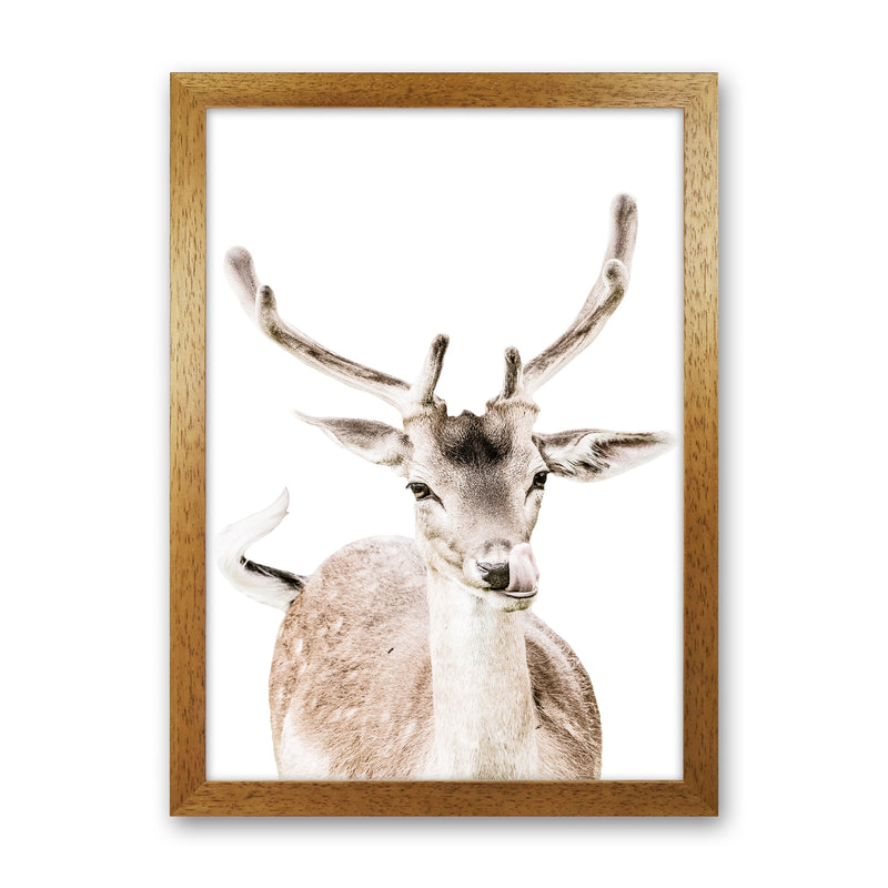 Deer I Photography Print by Victoria Frost Oak Grain