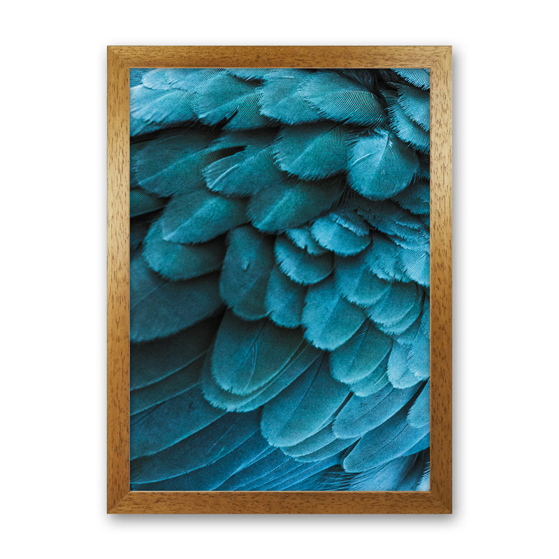 Blue Feathers Photography Print by Victoria Frost Oak Grain