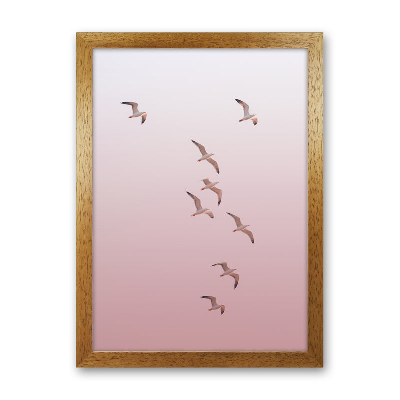 Birds in the Sky-pink Photography Print by Victoria Frost Oak Grain