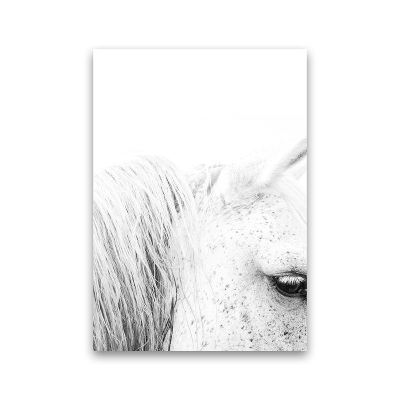 White Horse II Photography Print by Victoria Frost Print Only