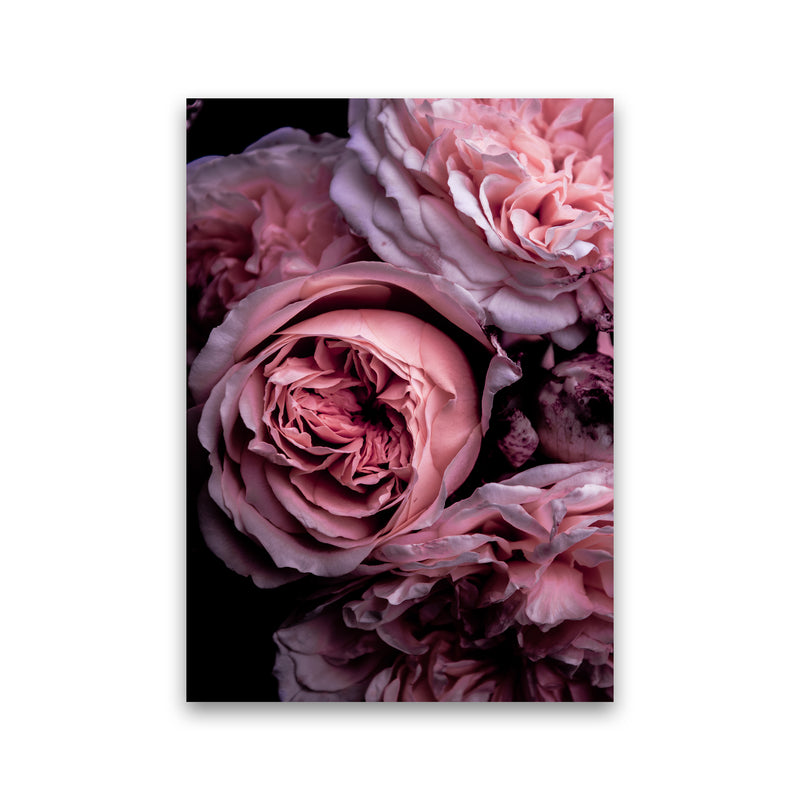 Vintage Pink Photography Print by Victoria Frost Print Only