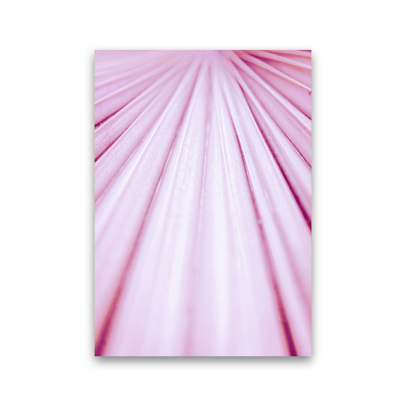 Pink Palm Leaf Photography Print by Victoria Frost Print Only