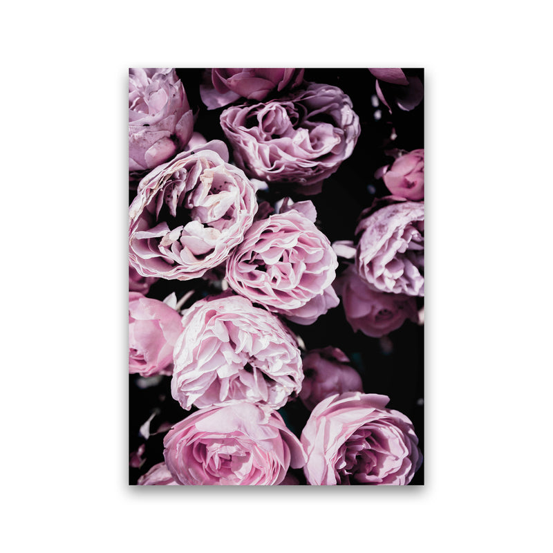 Pink Flowers II Photography Print by Victoria Frost Print Only
