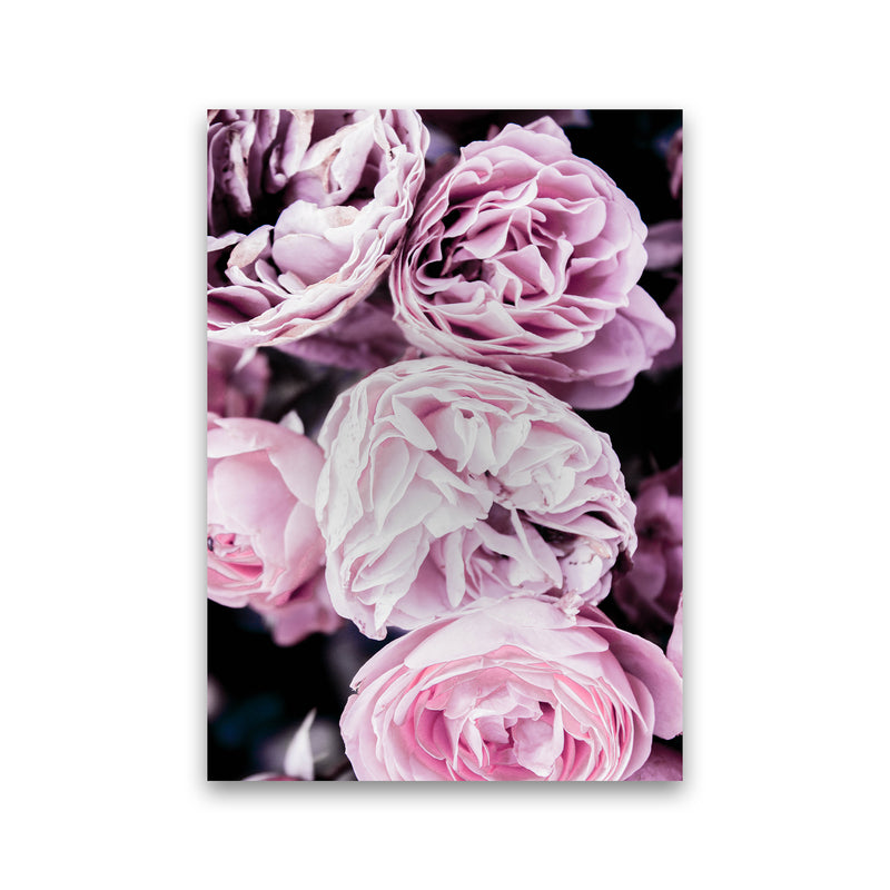 Pink Flowers I Photography Print by Victoria Frost Print Only
