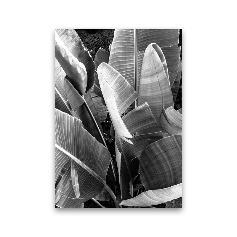 Palms Leafs Photography Print by Victoria Frost Print Only