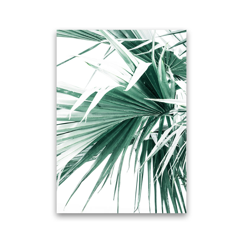 Palm Leaves Photography Print by Victoria Frost Print Only