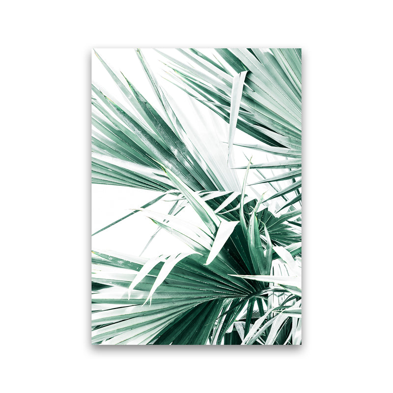 Palm Leaves II Photography Print by Victoria Frost Print Only