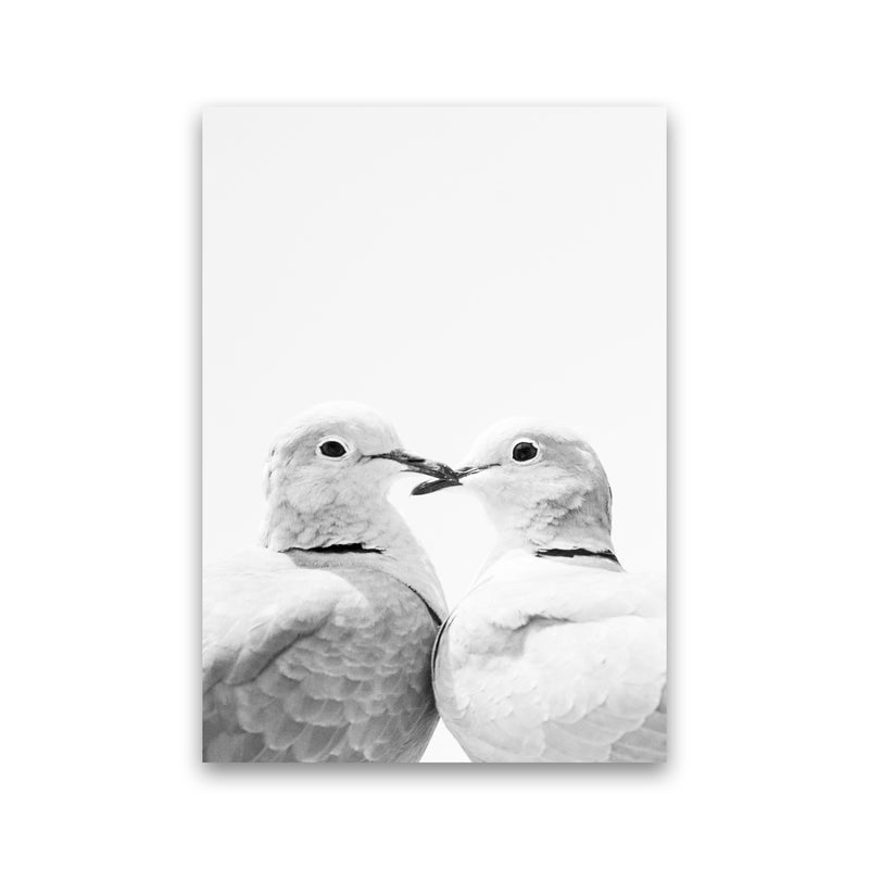 Lovers Photography Print by Victoria Frost Print Only