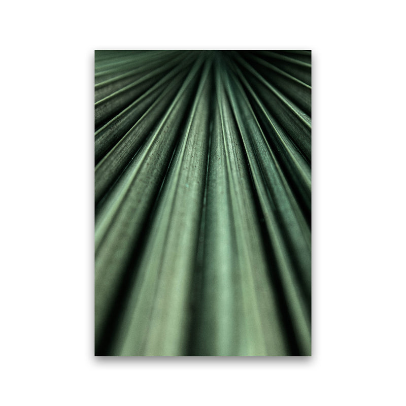 Green Palm Leaf Photography Print by Victoria Frost Print Only
