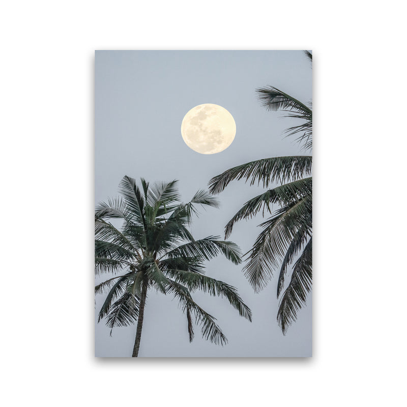 Full Moon Photography Print by Victoria Frost Print Only