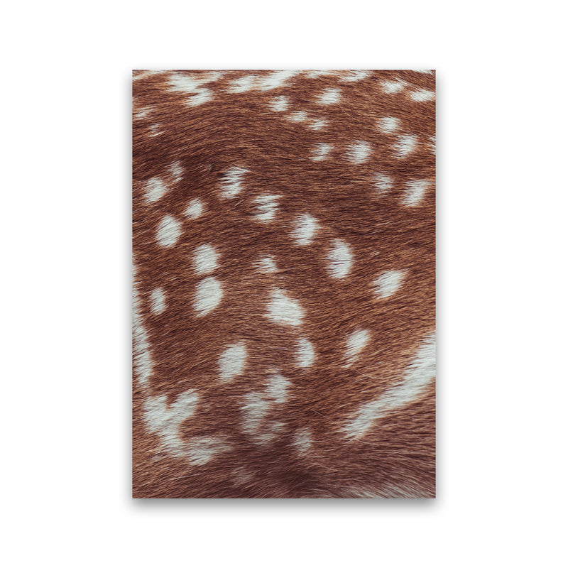 Deer skin Photography Print by Victoria Frost Print Only