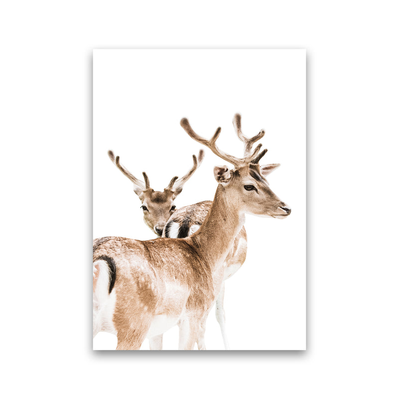 Deers II Photography Print by Victoria Frost Print Only