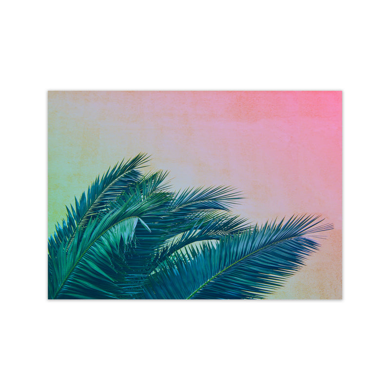 Botanical Palms Photography Print by Victoria Frost Print Only