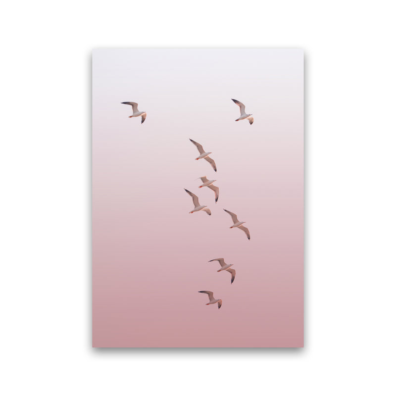 Birds in the Sky-pink Photography Print by Victoria Frost Print Only