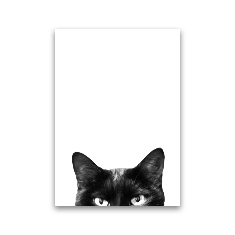 Black Cat Photography Print by Victoria Frost Print Only